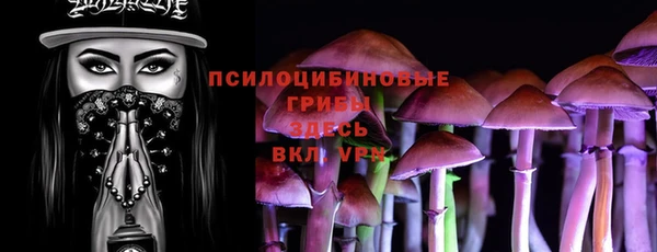 стафф Алексин