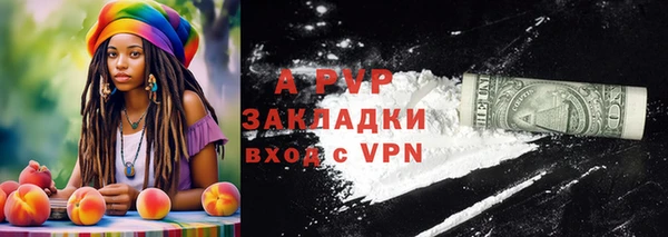 стафф Алексин
